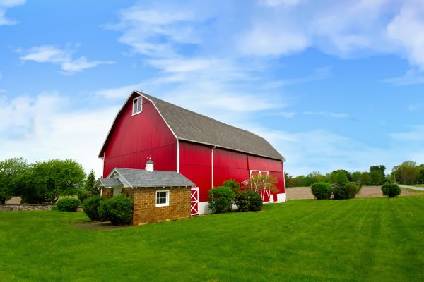 Backyard Shed Landscaping