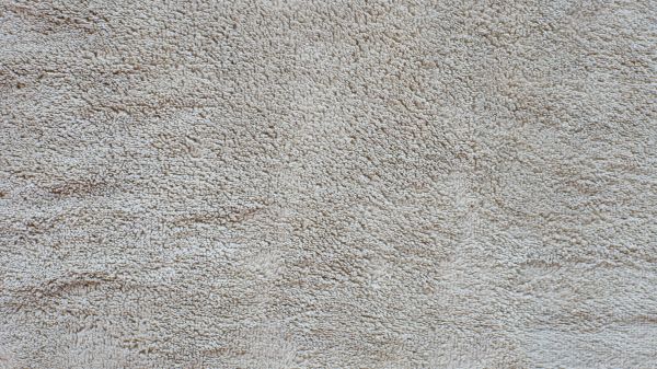 Carpet Wrinkle Removal