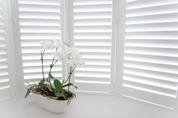 Plantation Shutters Install