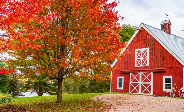 Barn Repair And Restoration