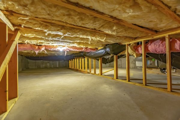 Crawl Space Examination