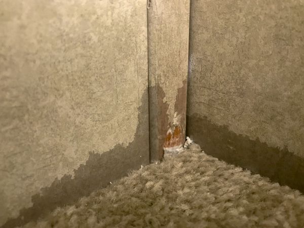 Carpet Washing
